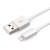 Cabo USB A M / iPhone 5/6 2.0 1,20m Branco Tela - 007738