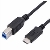Cabo USB Tipo C para USB B 2,0 metros - 009312